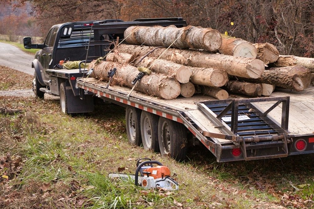 A chainsaw resting on a freshly cut log after a tree removal
