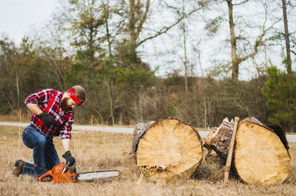 Hands gripping a chainsaw beside a felled trunk during a removal